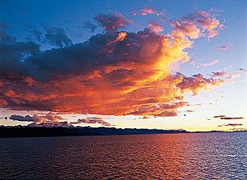 清版弹幕射击游戏《赛博脉冲》即将于5月在Steam平台推出