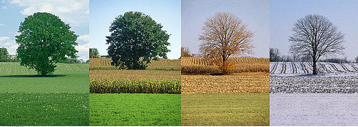 《彩虹六号：异种》已送厂压盘 明年1月发售